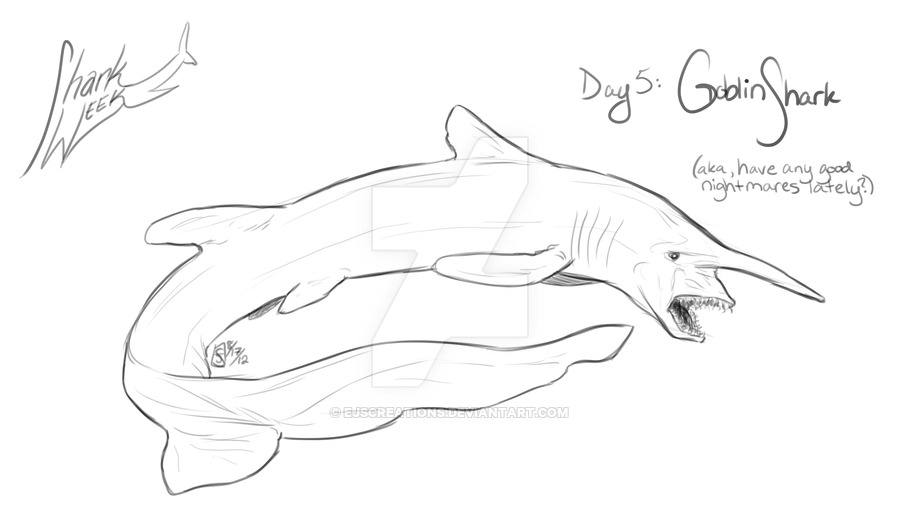 900x525 Shark Week Day Goblin Shark - Goblin Shark Drawing