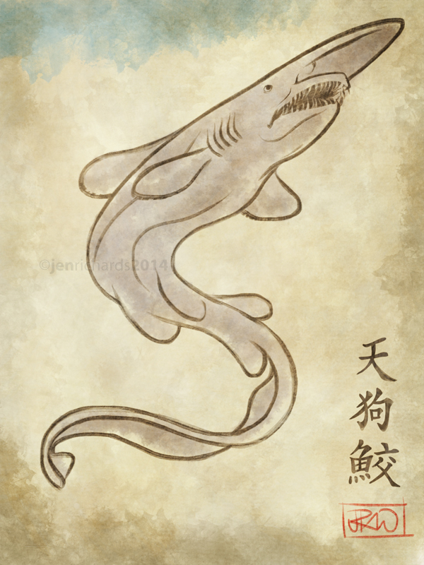 Goblin Shark Drawing at Explore collection of