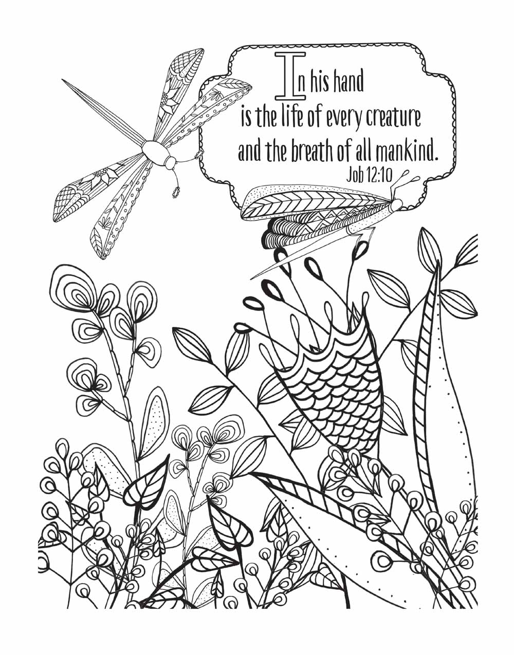 1000x1275 Color God's Creationharvest House - Gods Creation Drawing