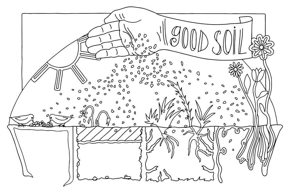 1000x667 An Illustrated Earth Celebrating God's Creation Illustrated - Gods Creation Drawing