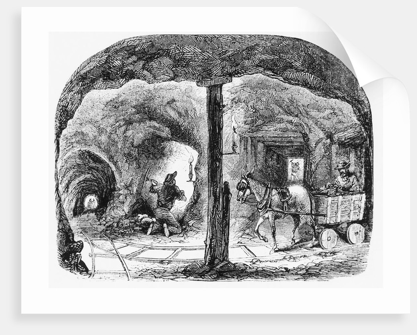 850x682 mule pulls cart thru ca gold mine illus posters prints - Gold Mine Drawing