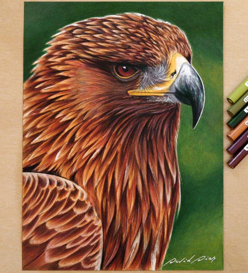 794x876 golden eagle original handmade drawing etsy - Golden Eagle Drawing