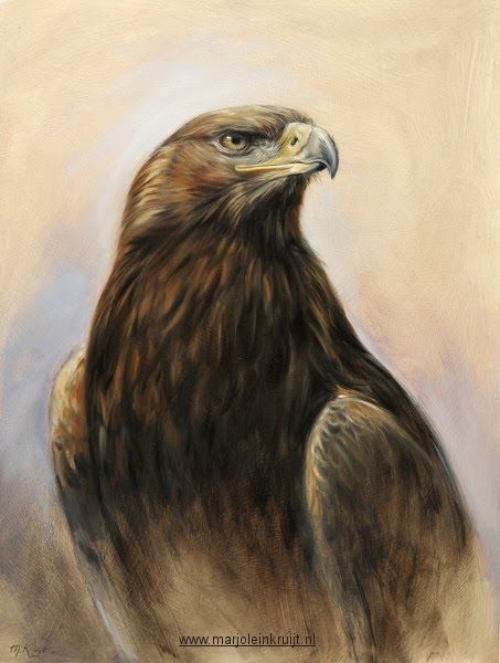 453x600 steenarend schilderij golden eagle painting art - Golden Eagle Drawing