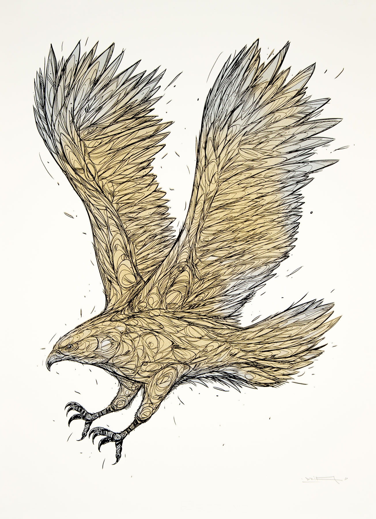 1305x1800 golden eagle' - Golden Eagle Drawing
