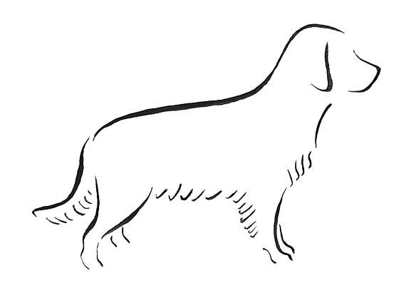 570x428 golden retriever, minimalist dog art print, pet loss gift ideas - Golden Retriever Line Drawing