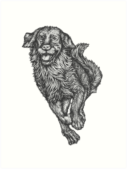 413x549 golden retriever hand drawn art prints - Golden Retriever Line Drawing