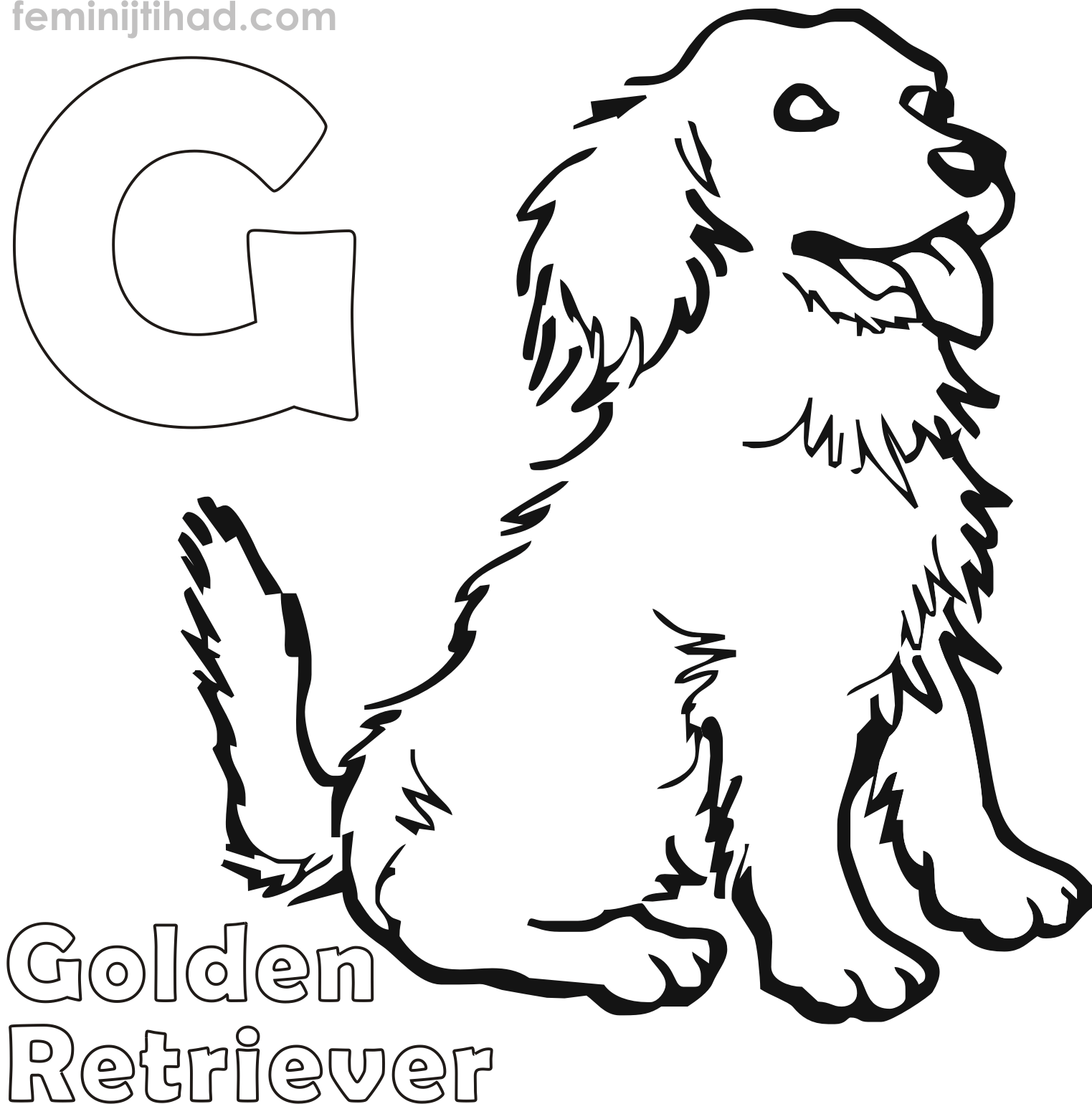 1523x1540 golden retriever puppies coloring pages - Golden Retriever Line Drawing