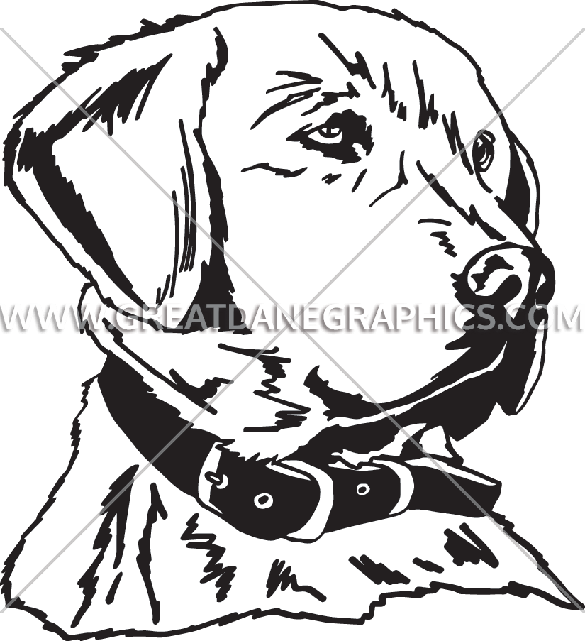 825x903 golden retriever clipart black and white for free download and use - Golden Retriever Line Drawing