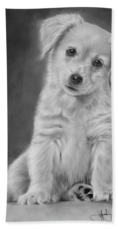500x967 Golden Retriever Puppy Drawing Beach Towel For Sale - Golden Retriever Puppy Drawing