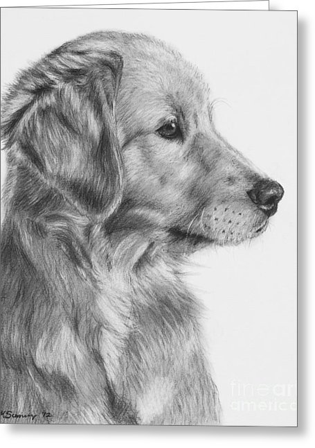 455x646 Golden Retriever Puppy In Charcoal One Drawing - Golden Retriever Puppy Drawing