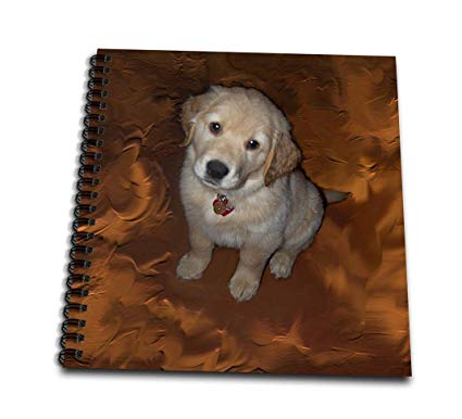 425x386 rose golden retriever puppy - Golden Retriever Puppy Drawing