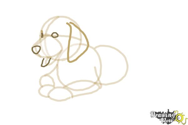 600x400 How To Draw A Golden Retriever Puppy - Golden Retriever Puppy Drawing