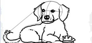 300x140 How To Draw A Cartoon Golden Retriever Puppy Dog Drawing - Golden Retriever Puppy Drawing