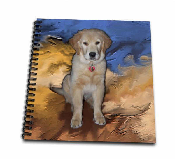 600x545 dogs golden retriever - Golden Retriever Puppy Drawing