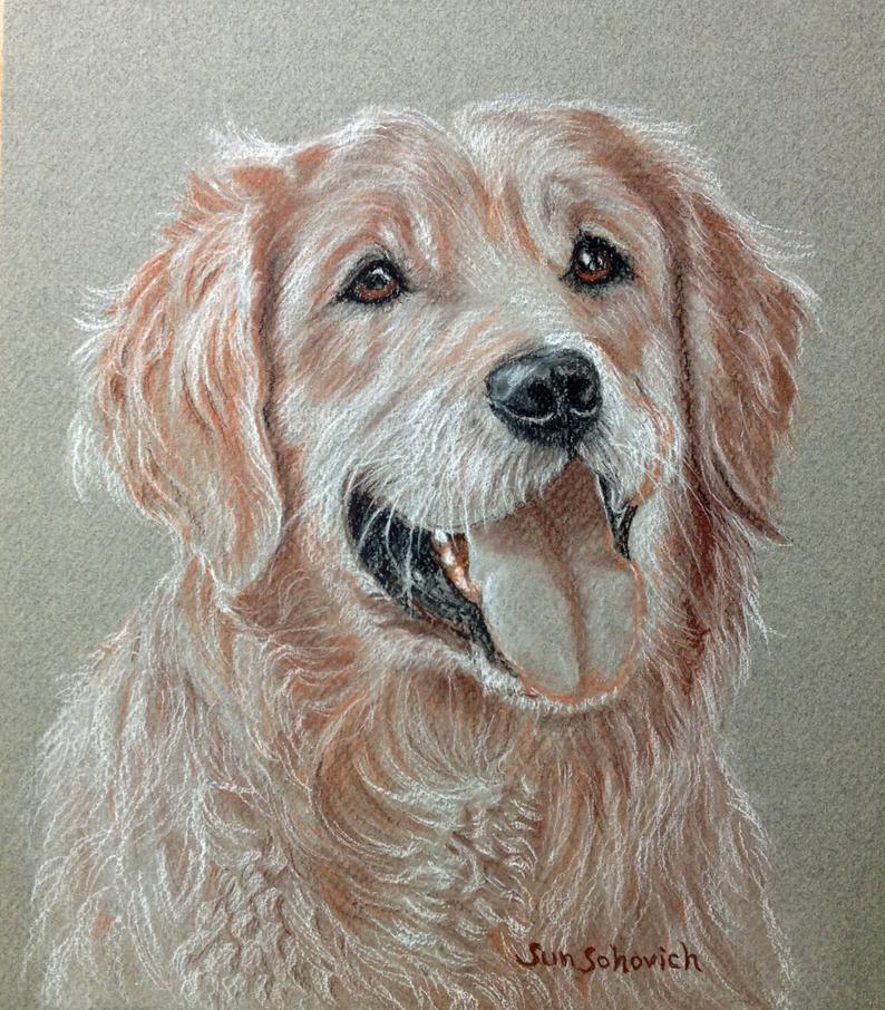 794x906 golden retriever custom dog drawing from picture custom pet etsy - Golden Retriever Puppy Drawing