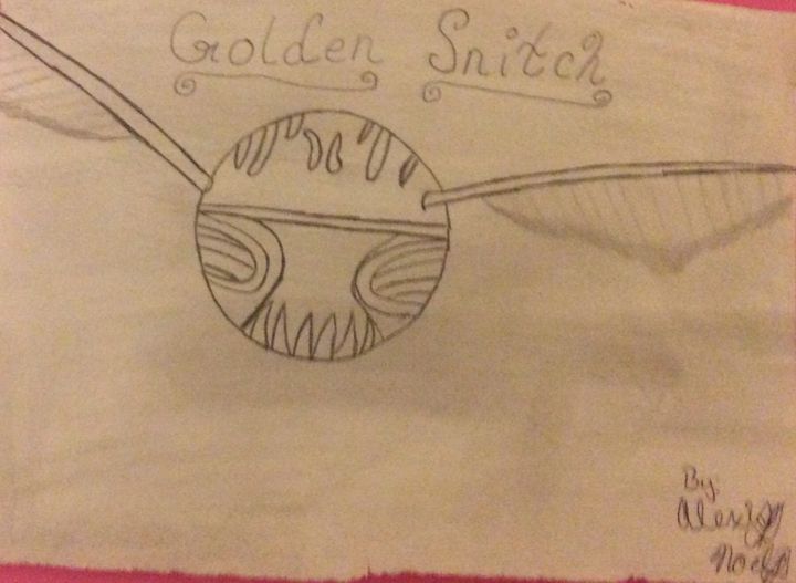 720x527 golden snitch - Golden Snitch Drawing