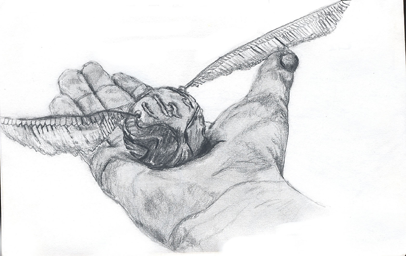 800x504 harry potter snitch drawing free image - Golden Snitch Drawing