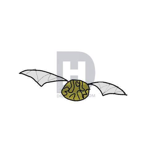 500x500 how to draw the golden snitch, step - Golden Snitch Drawing