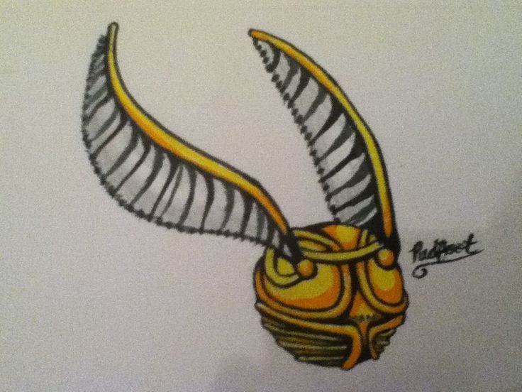 736x552 golden snitch drawing - Golden Snitch Drawing