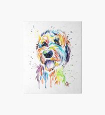 210x230 goldendoodle drawing wall art redbubble - Goldendoodle Drawing