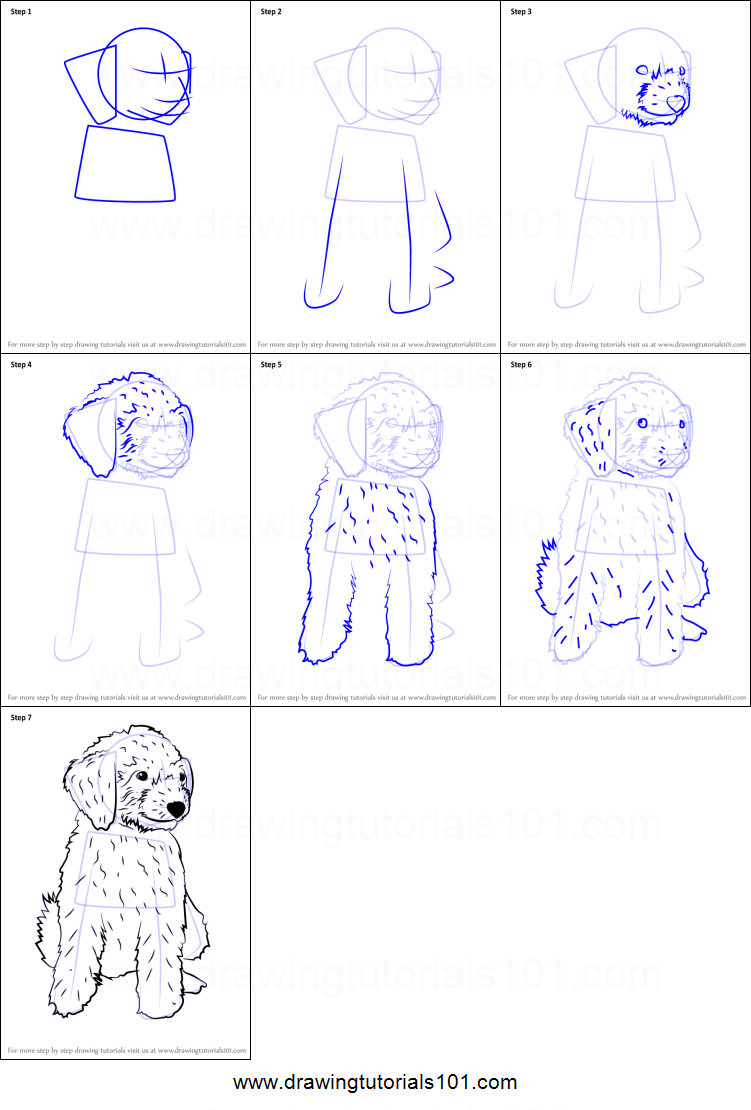 751x1110 how to draw a mini goldendoodle printable step - Goldendoodle Drawing