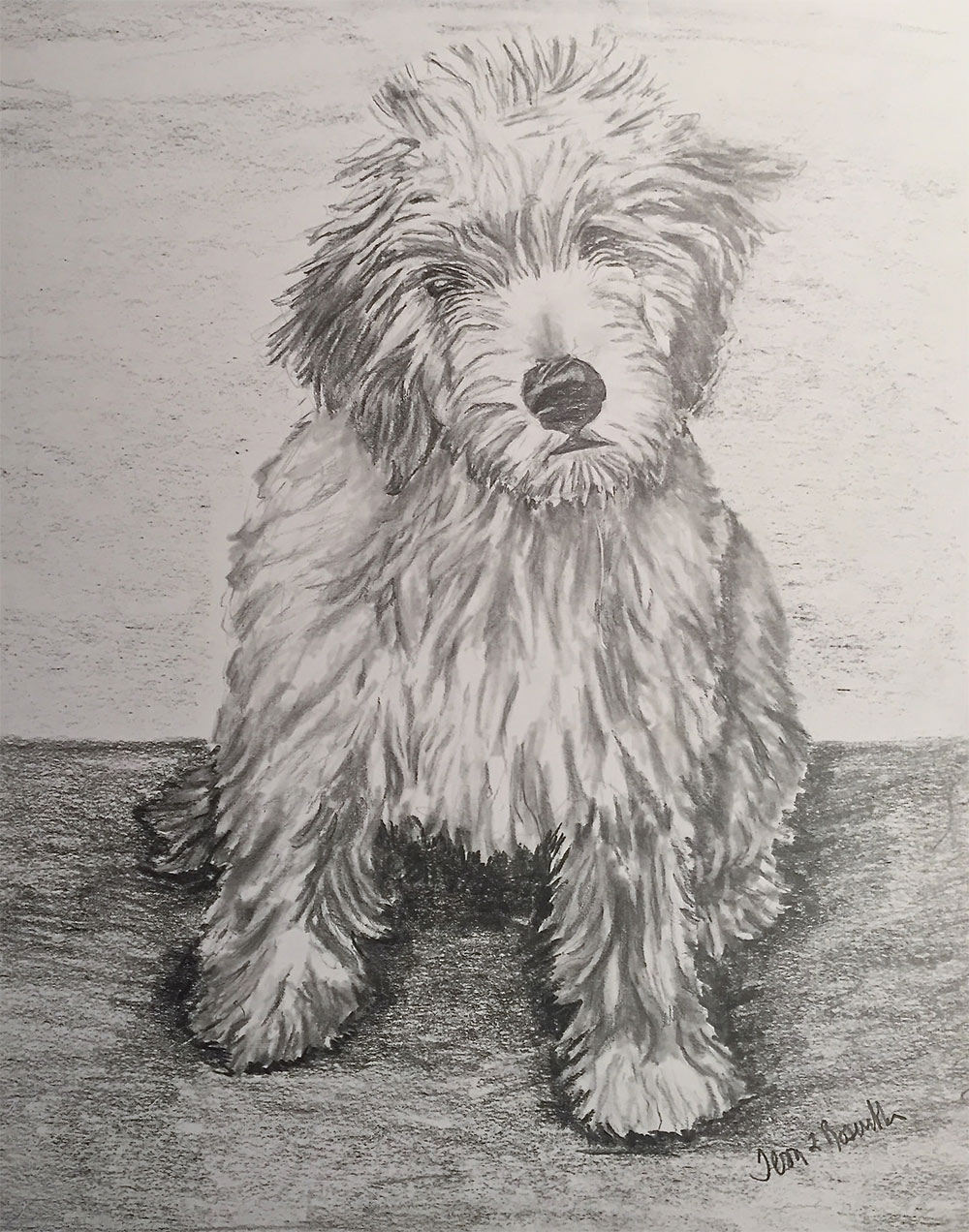 Goldendoodle Drawing at Explore collection of