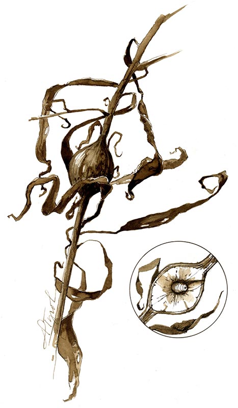 467x800 Goldenrod Golf Balls The Outside Story - Goldenrod Drawing