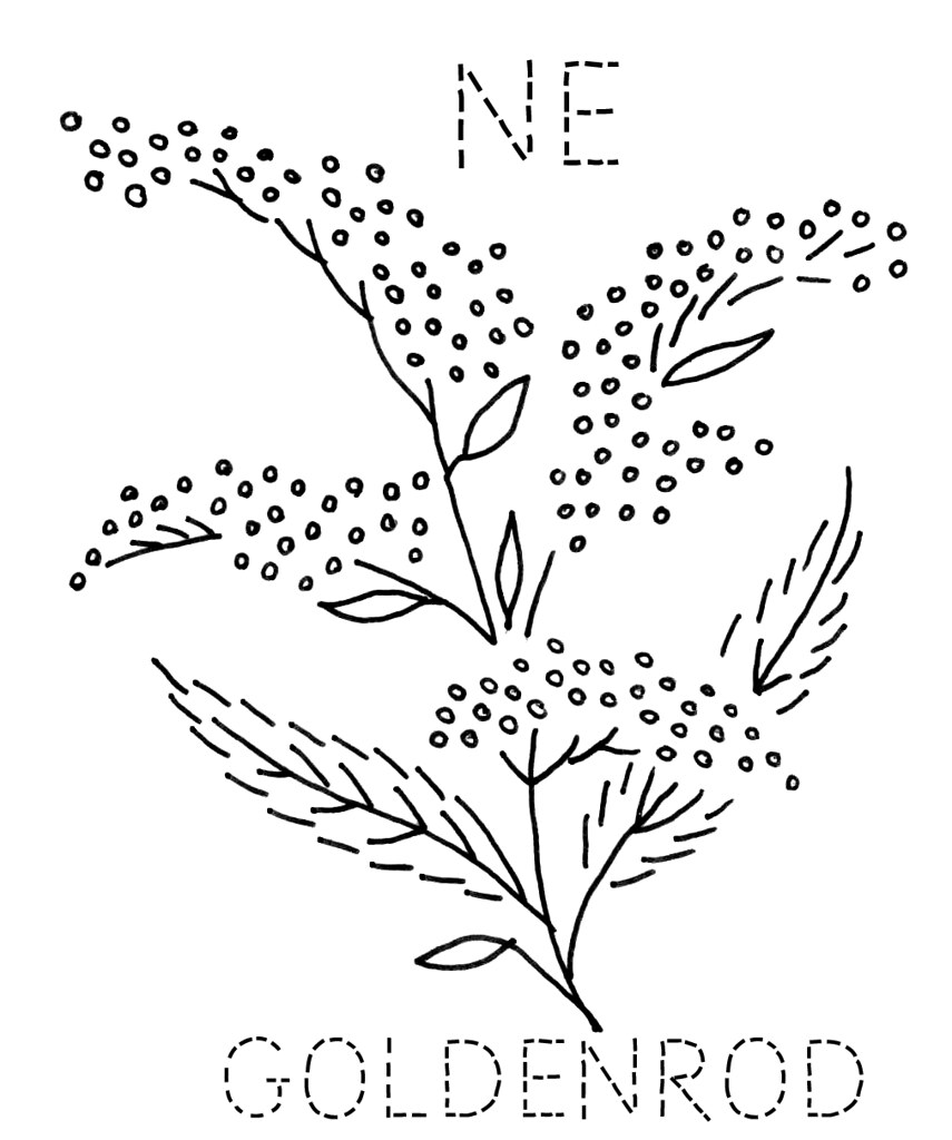 855x1024 Nebraska Goldenrod To Download The Inch Block Size - Goldenrod Drawing