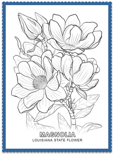 378x514 goldenrod drawing flower transparent png clipart free download - Goldenrod Flower Drawing