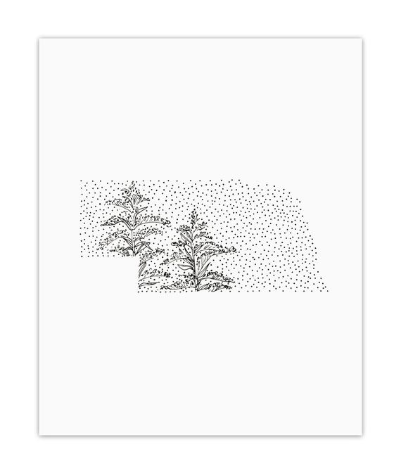 570x676 nebraska goldenrod state flower drawing giclee etsy - Goldenrod Flower Drawing