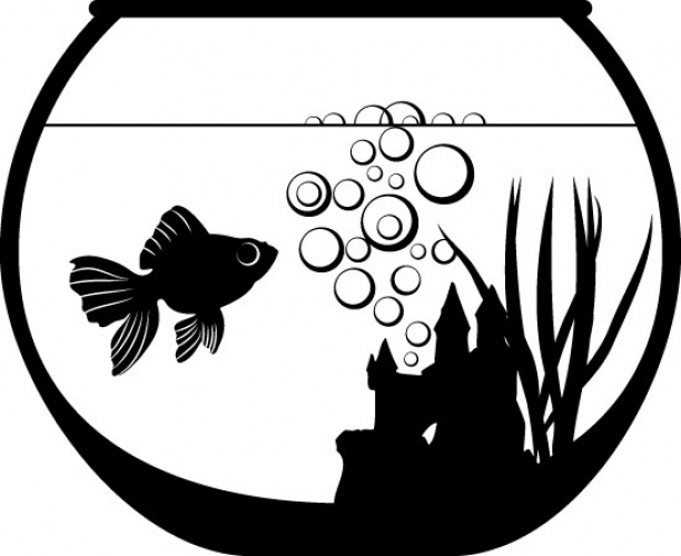 612x500 fish and goldfish bowl legends wall art - Goldfish Bowl Drawing