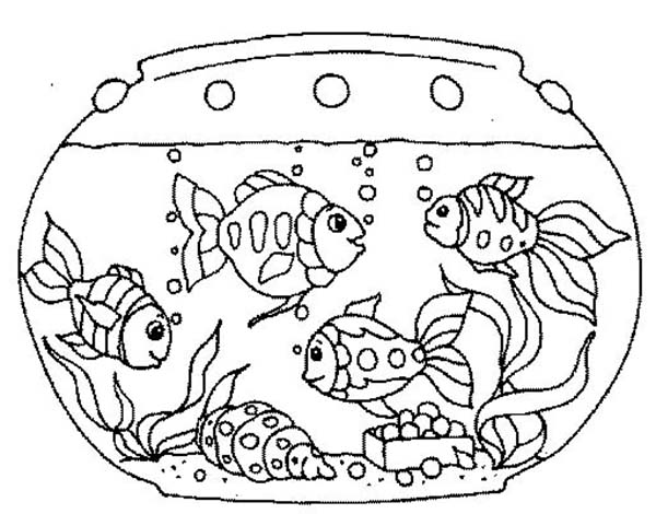 600x470 goldfish bowl drawing - Goldfish Bowl Drawing