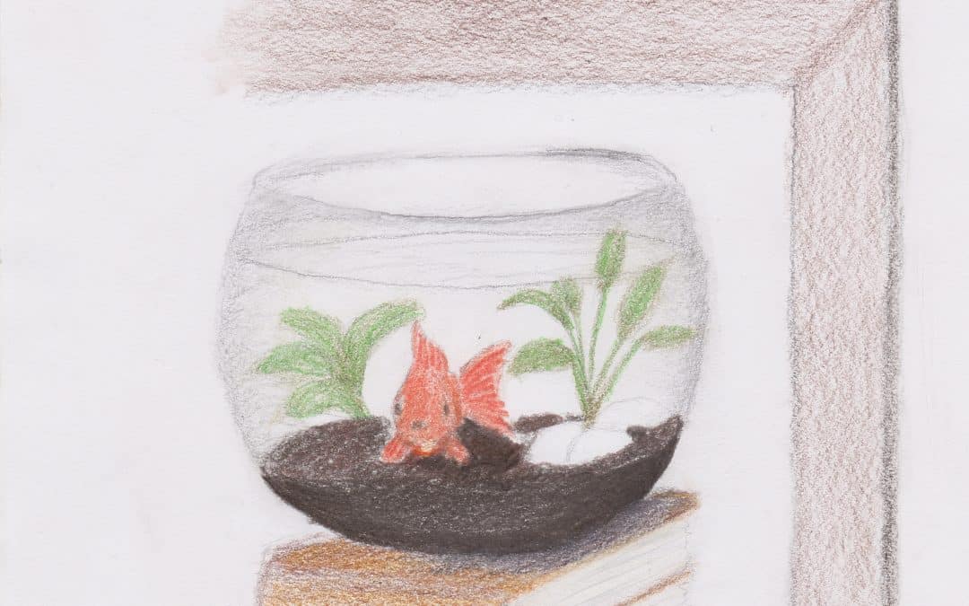 1080x675 goldfish bowl on books - Goldfish Bowl Drawing