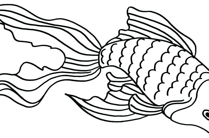 678x450 goldfish coloring - Goldfish Bowl Drawing