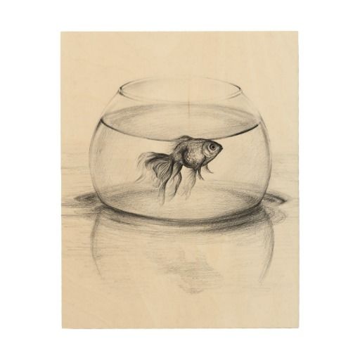 512x512 goldfish in a bowl pencil art wood canvas - Goldfish Bowl Drawing