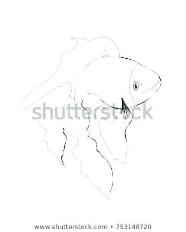 376x470 how to draw goldfish steps with pictures uploaded years ago - Goldfish Bowl Drawing