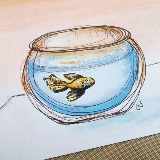 640x640 loving this abstract goldfish bowl drawing created - Goldfish Bowl Drawing