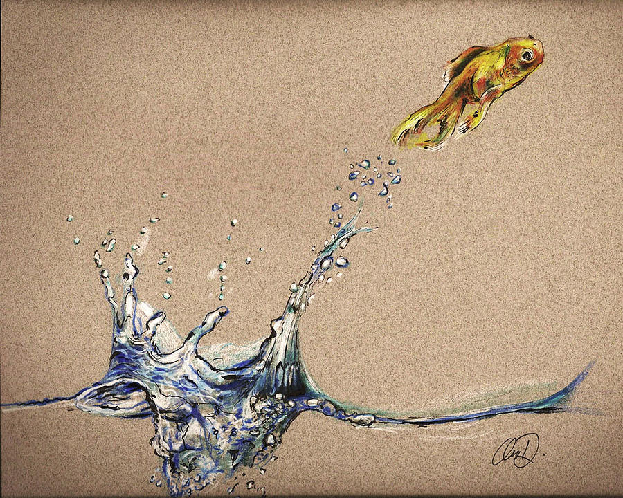 900x720 goldfish drawing - Goldfish Drawing
