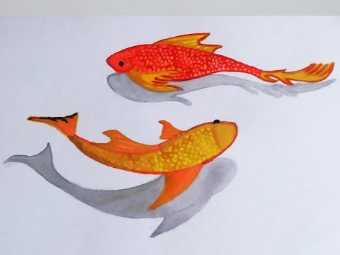 480x360 how to draw a goldfish - Goldfish Drawing
