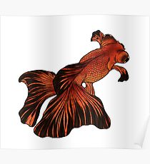 210x230 telescope butterfly goldfish drawing posters redbubble - Goldfish Drawing