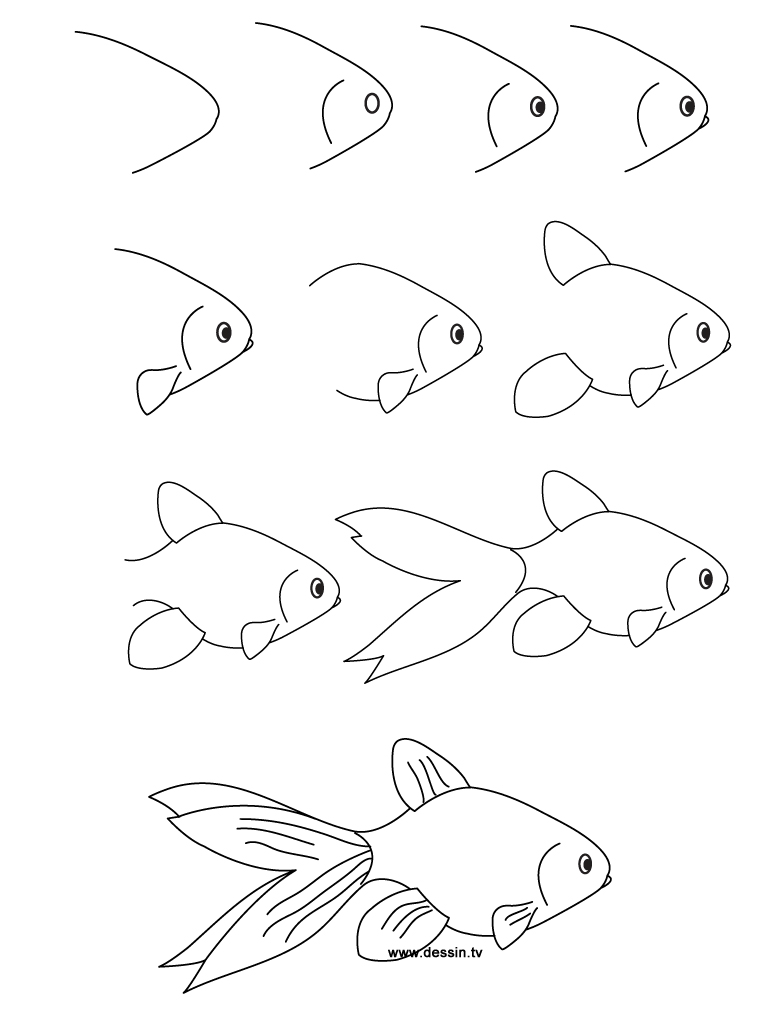 768x1024 drawing goldfish - Goldfish Drawing