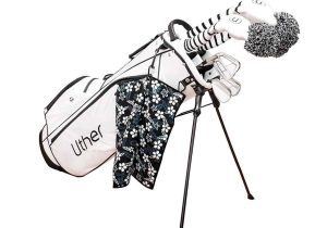 300x210 bag drawing us power assisted cart google patentsrhgooglecompg - Golf Bag Drawing