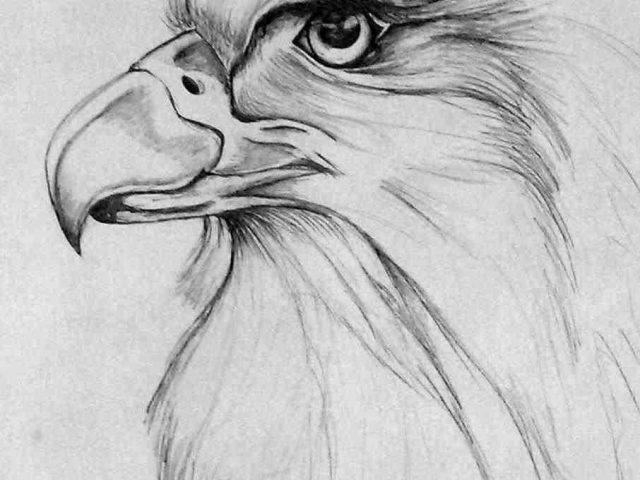 640x480 Drawing Ideas For Teens - Good Drawing Ideas For Teenagers