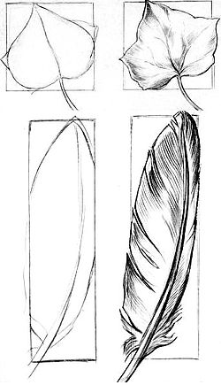 250x435 Drawing For Beginnerschapter - Good Drawings For Beginners