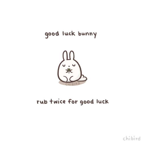 500x500 good luck bunny shared - Good Luck Drawing