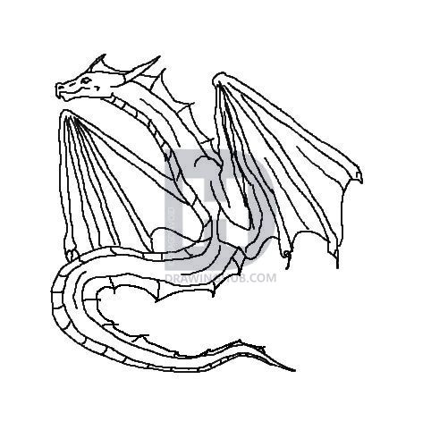 501x500 how to draw an amphithere dragon, step - Good Luck Drawing