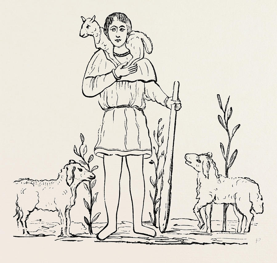 900x854 The Good Shepherd Drawing - Good Shepherd Drawing