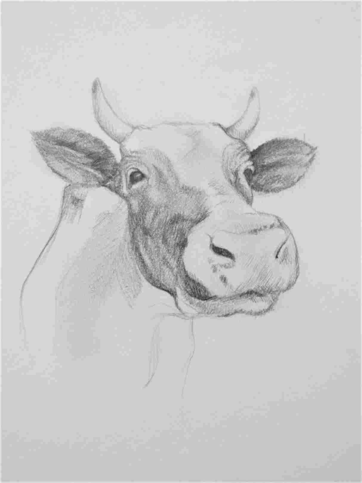 1213x1618 Realistic Realistic Pencil Drawing Ideas Pencil Drawings Google - Google Drawing Ideas