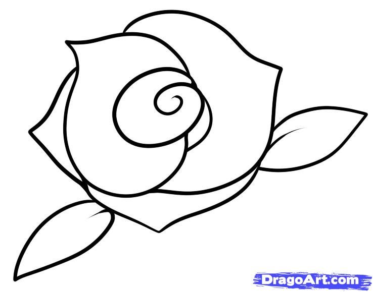 738x579 How To Draw A Simple Rose How To Draw A Rose Step Step Easy Google - Google Search By Drawing