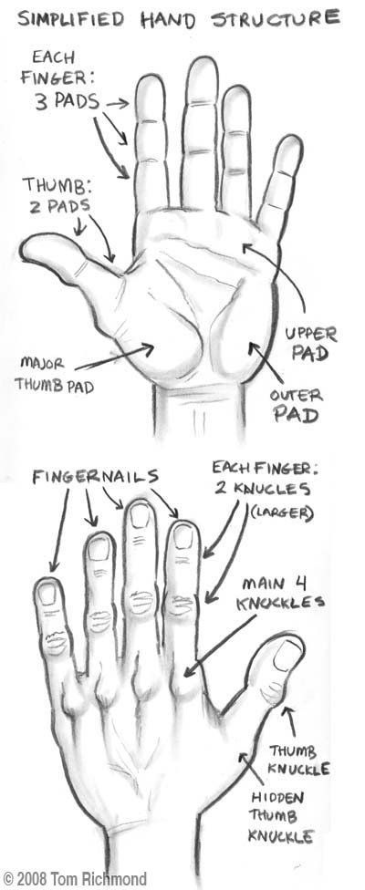 400x976 Basic Drawing Techniques - Google Search By Drawing
